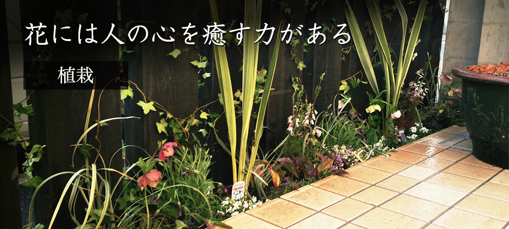 植栽をする