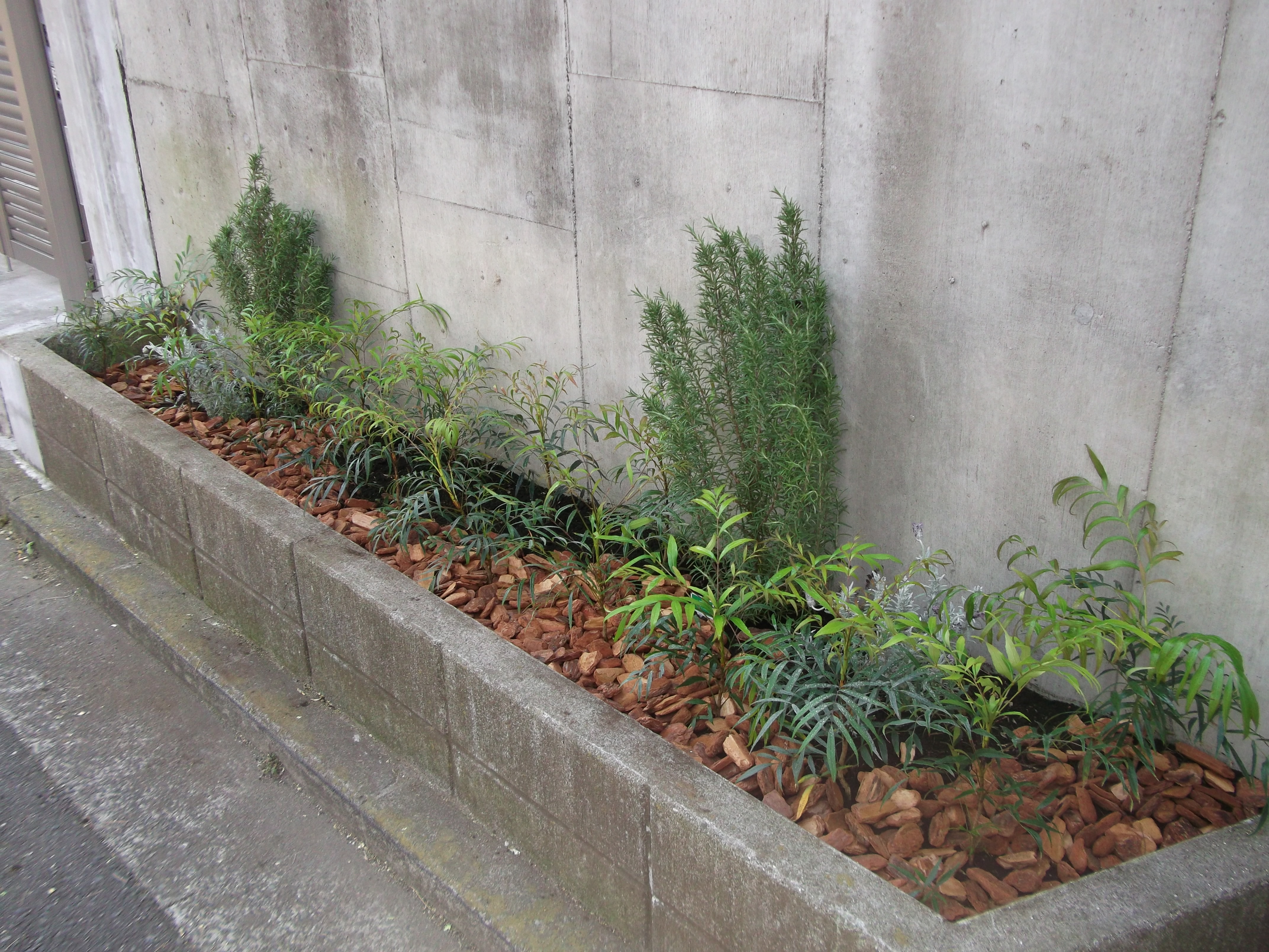 横浜市 管理が簡単な花壇植栽 たかはし庭園 川崎市多摩区の造園専門店