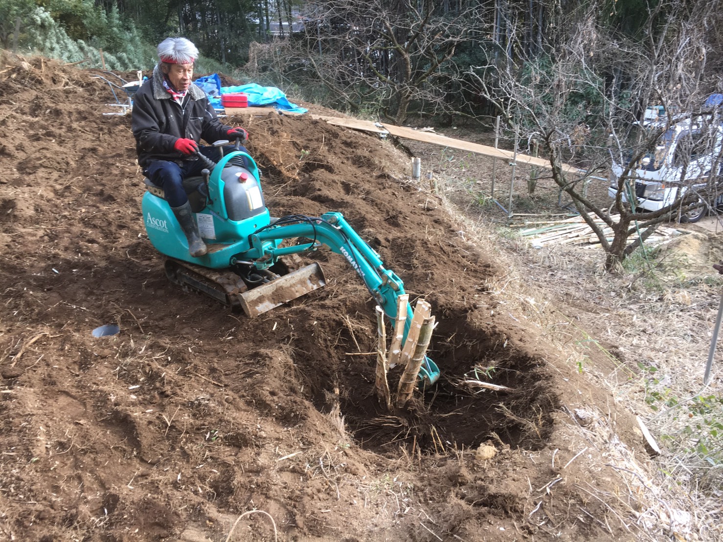 大きな竹の根っこ生活様用 竹（笹）の抜根工事 | たかはし庭園｜川崎市多摩区の造園専門店